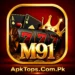 M91 Game