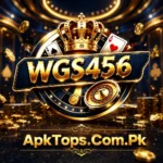 Wgs 456 Game Download