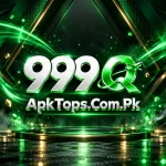 999q Game Apk