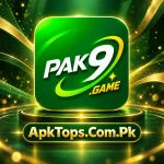 pak 9 Game